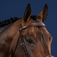 US Jumping Anatomic Browband - Brown