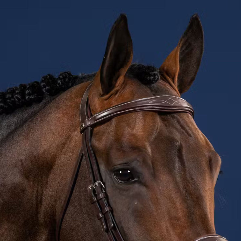 US Jumping Anatomic Browband - Brown