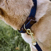 Dog Collar - Plaited Nylon Navy