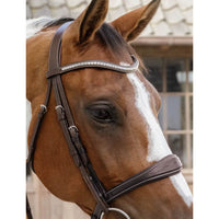US Jumping Anatomic Noseband without Flash - Brown