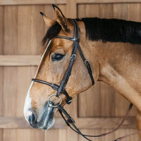 Working Round Leather Bridle - Brown