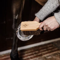 Hoof Brush
