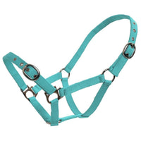Nylon Halter - Foal