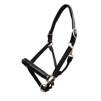 Leather Show Halter - Black