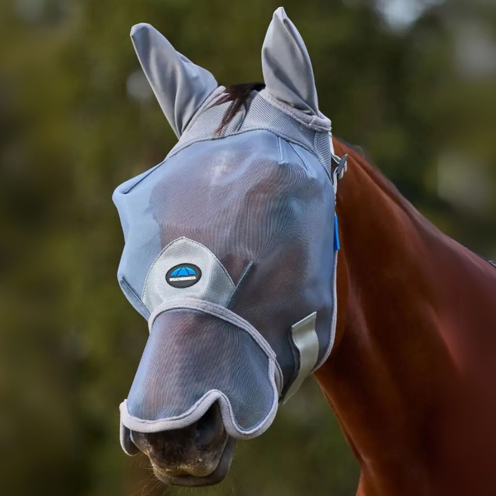 ComFiTec Insect Guard Ears & Nose Fly Mask – Rangiora Equestrian Supplies