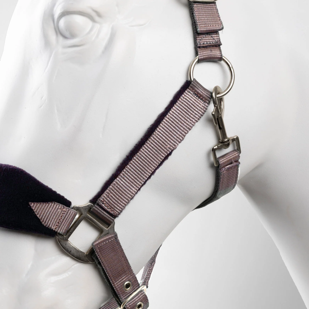 Magic Halter & Lead Set - Flint Purple