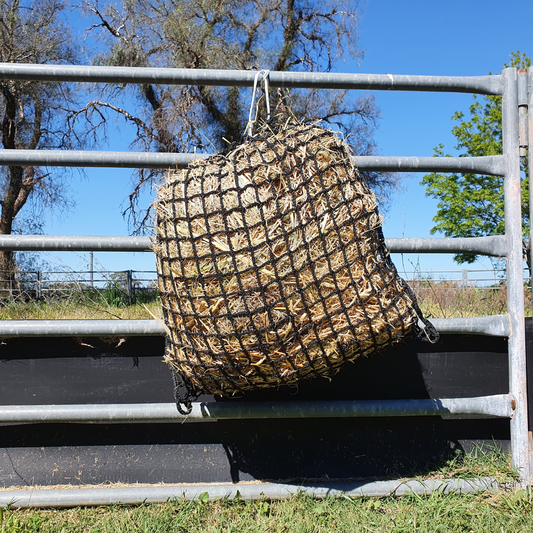 Knotless Hay Net - Medium