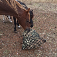 Knotless Hay Net - Small