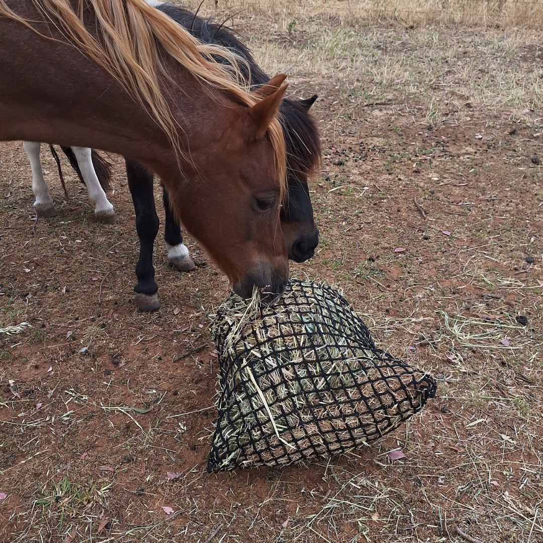 Knotless Hay Net - Small