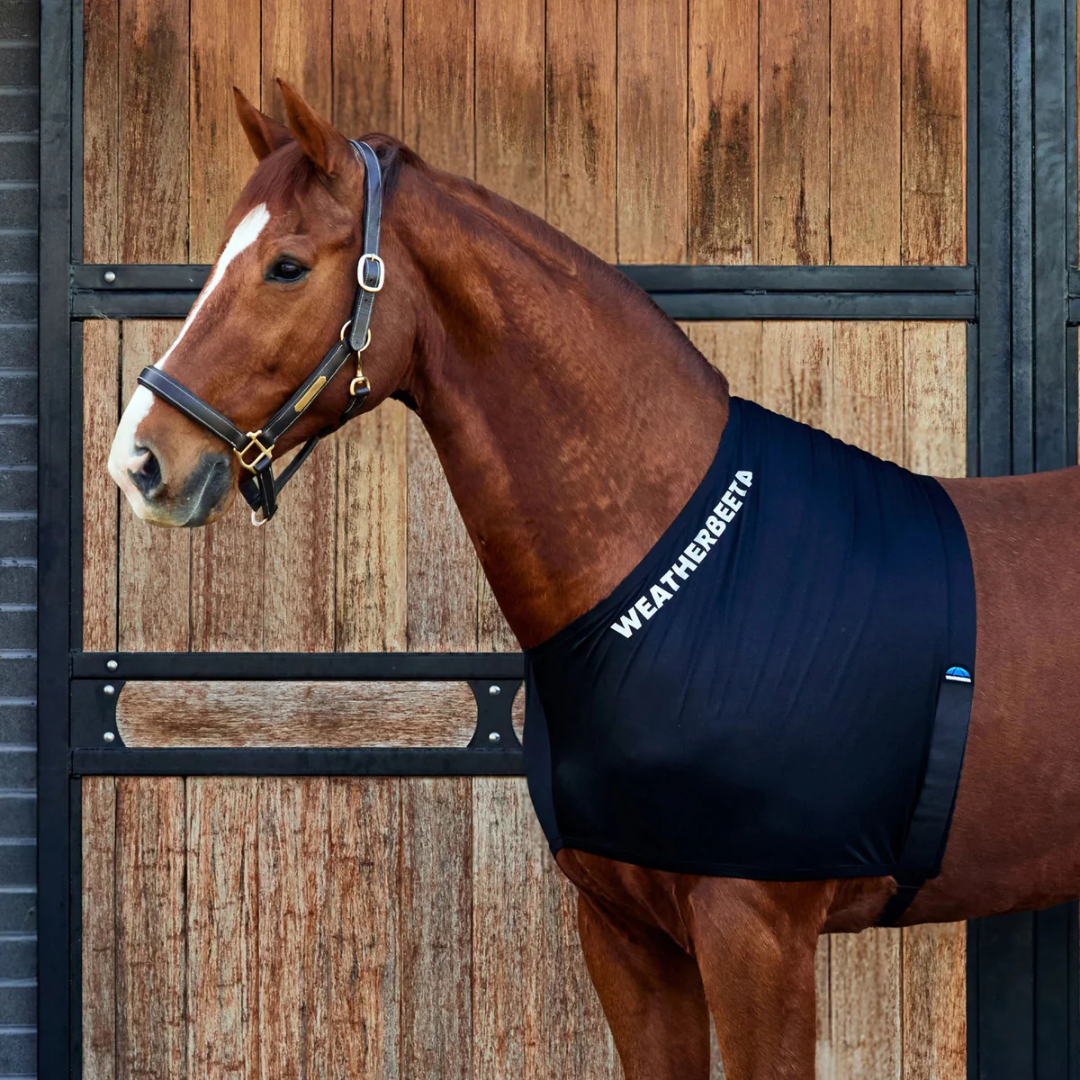 Stretch Shoulder Guard - Black