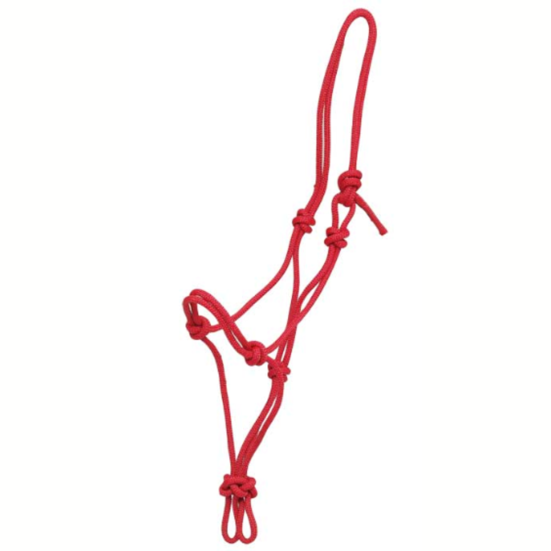 Rope Halter Knotted