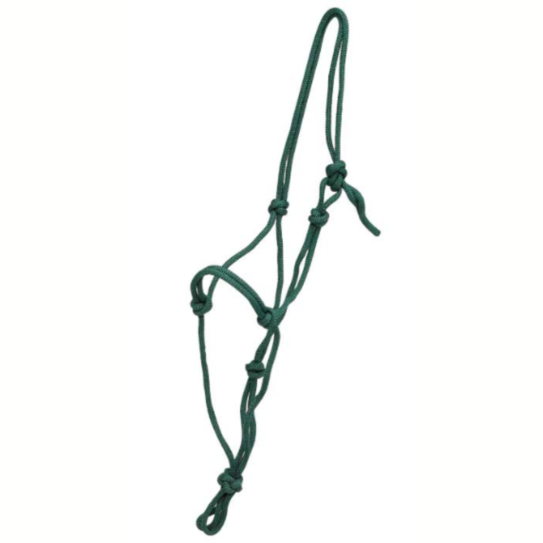 Rope Halter Knotted
