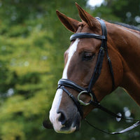 Comfort Anatomical Bridle