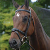 Hanoverian Bridle