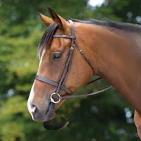 Flat Cavesson Bridle