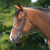 Flat Cavesson Bridle