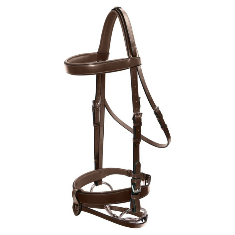 Wide Padded Hunt Bridle - Brown