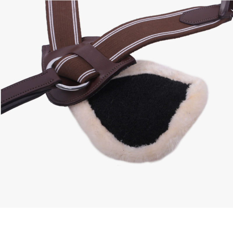 Ontario 5 Point Breastplate - Brown