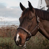 Working Headcollar with Adjustment - Brown