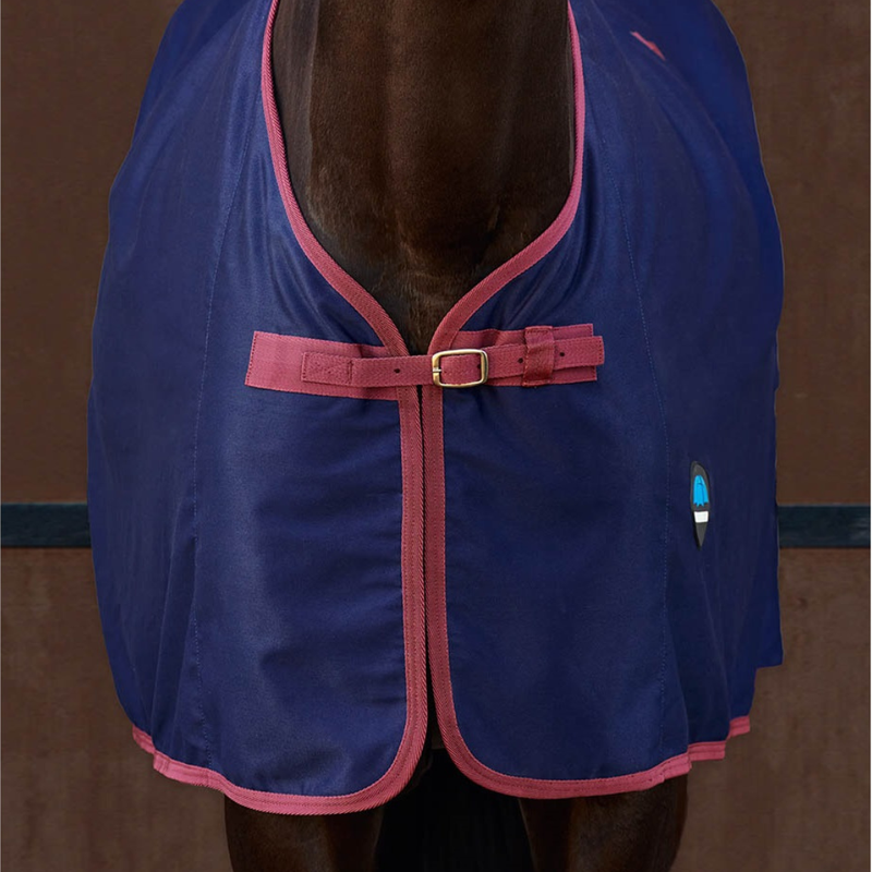 Show Sheet Standard Neck - Navy/Burgundy