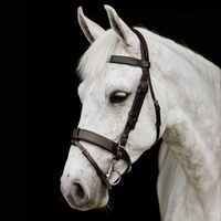 Wide Padded Hunt Bridle - Brown