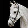 Wide Padded Hunt Bridle - Black