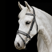 Wide Padded Hunt Bridle - Black
