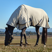 Cotton Summer Sheet Lite Combo - Beige/Navy/Forest Green