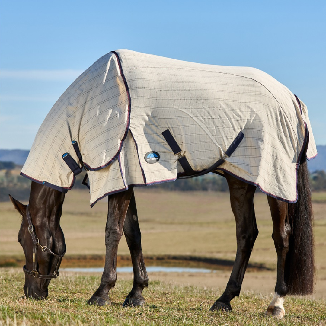 Cotton Summer Sheet Combo - Beige/Navy/Burgundy