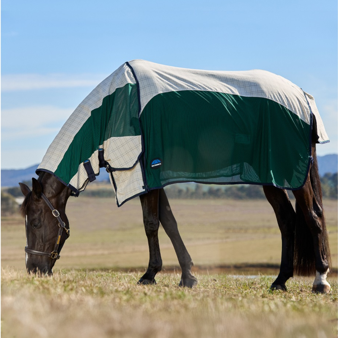 Cotton Airstream Combo - Beige/Forest Green/Navy