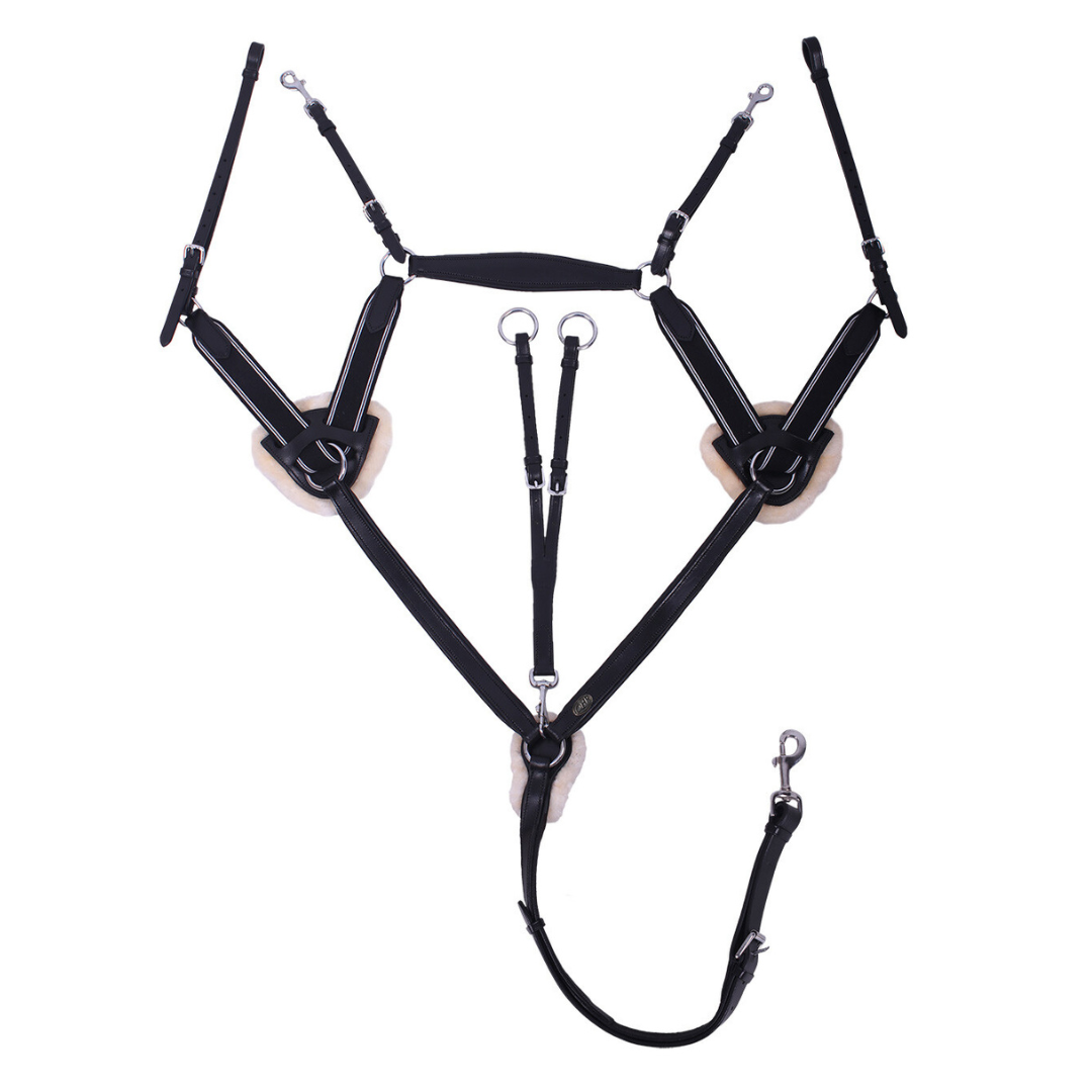 Ontario 5 Point Breastplate - Black