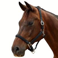Braided Leather Headcollar - Black