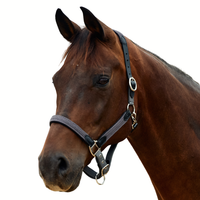 Braided Leather Headcollar - Charcoal