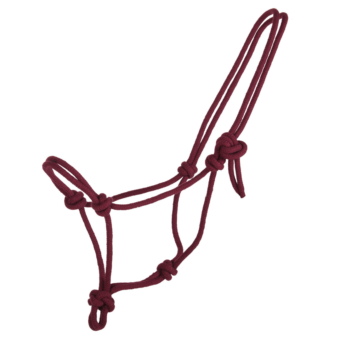 QHP - Rope Halter - Burgundy – Rangiora Equestrian Supplies