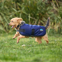 Classic Waterproof Dog Coat - Navy