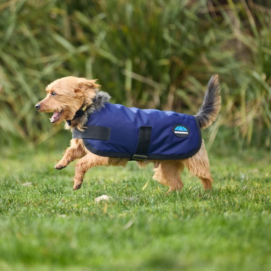 Classic Waterproof Dog Coat - Navy