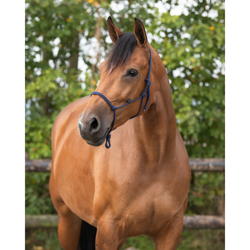 Rope Halter - Navy