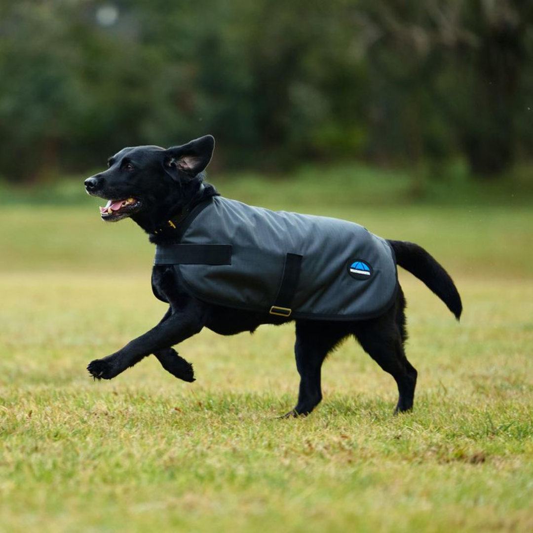 Classic Waterproof Dog Coat - Charcoal