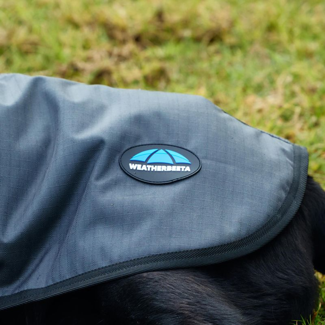 Classic Waterproof Dog Coat - Charcoal