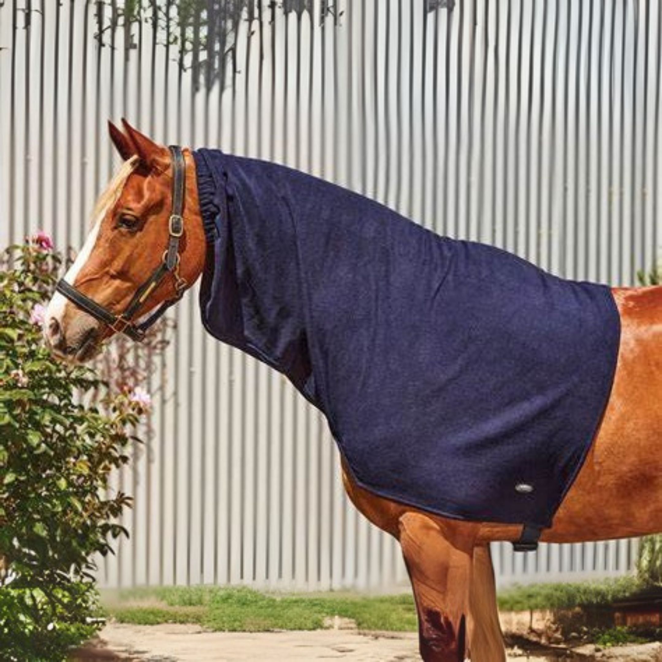 Luxe Snug Fleece Neck Rug – Rangiora Equestrian Supplies
