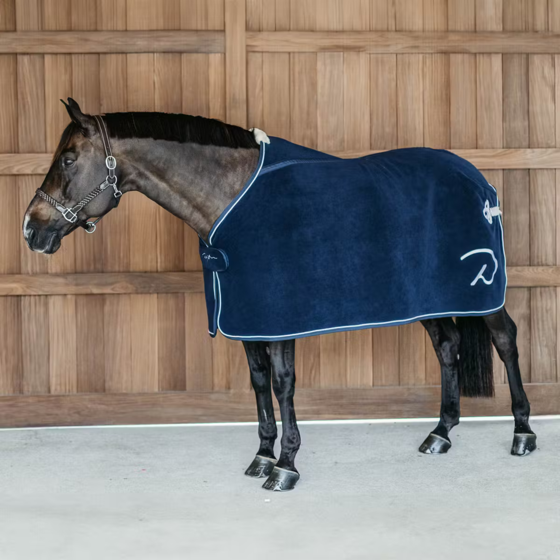 Rug Heavy Fleece - Navy 145cm – Rangiora Equestrian Supplies