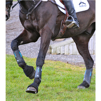 E-Vento Rear Boots - Black