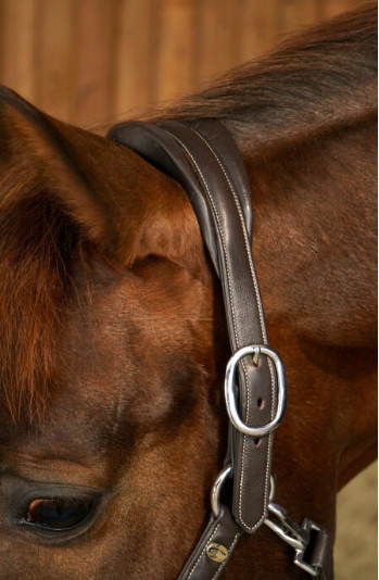 Working Soft Leather Headcollar - Black