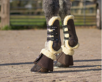 Ontario Tendon Boots - Brown