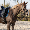 Market Harborough Rein Set - Black