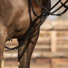 Market Harborough Rein Set - Black
