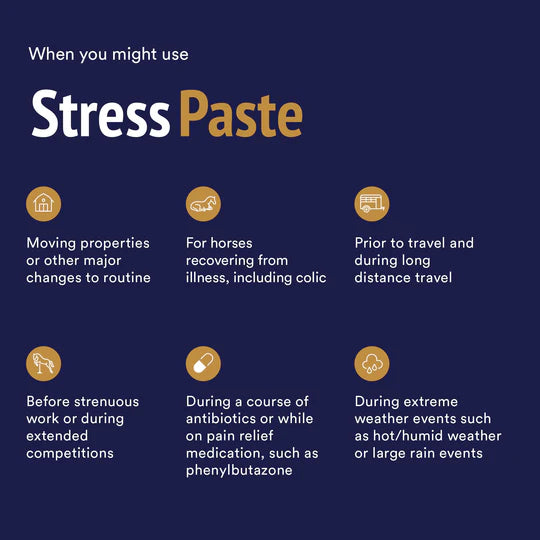 Stress Paste 60ml