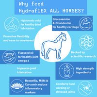 Hydra-Flex All Horse - 1.2kg