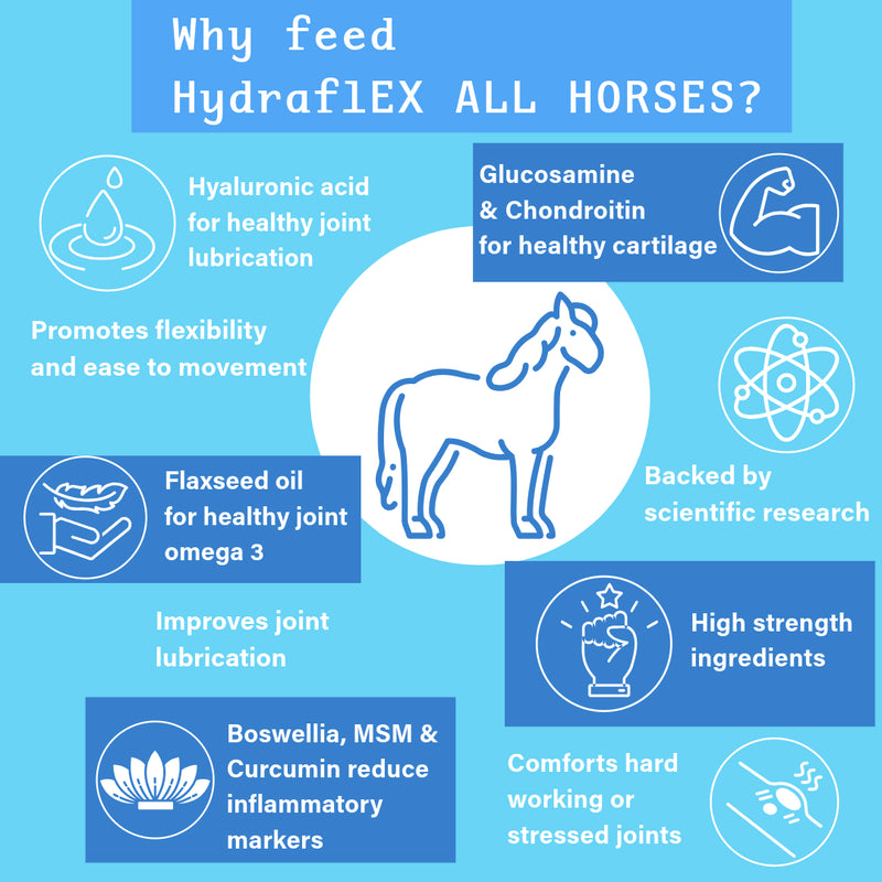Hydra-Flex All Horse - 1.2kg