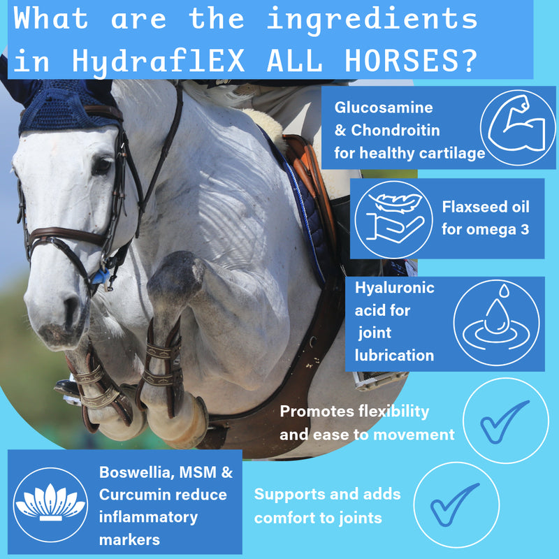 Hydra-Flex All Horse - 1.2kg